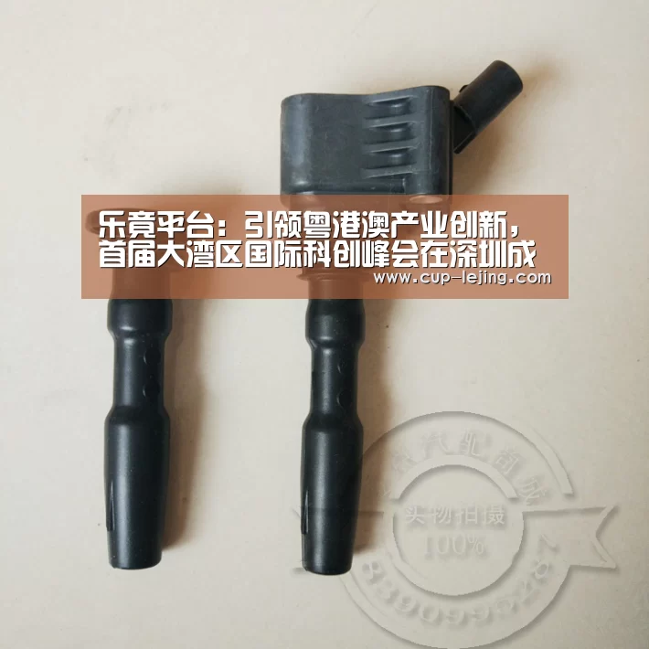 乐竟平台:引领粤港澳产业创新,首届大湾区国际科创峰会在深圳成功举办(图3) 乐竟平台