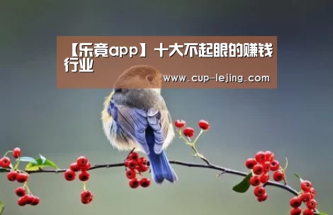 【乐竟app】十大不起眼的赚钱行业(图1) 乐竟app