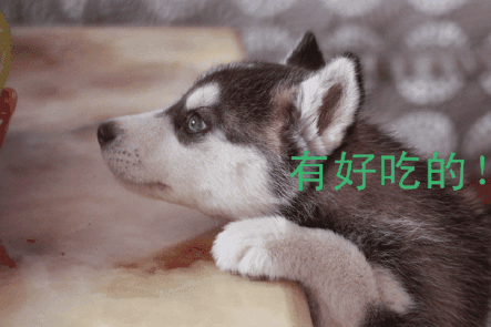 乐竟体育
