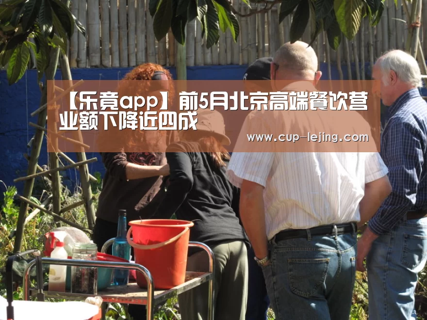 乐竟app