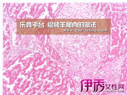 乐竟平台_烩烤羊腿肉的做法(图2) 乐竟体育平台