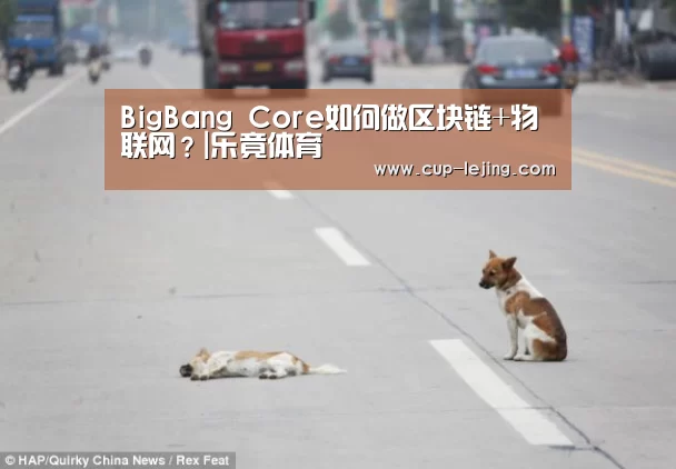 BigBang Core如何做区块链+物联网?|乐竟体育(图1) 乐竟平台
