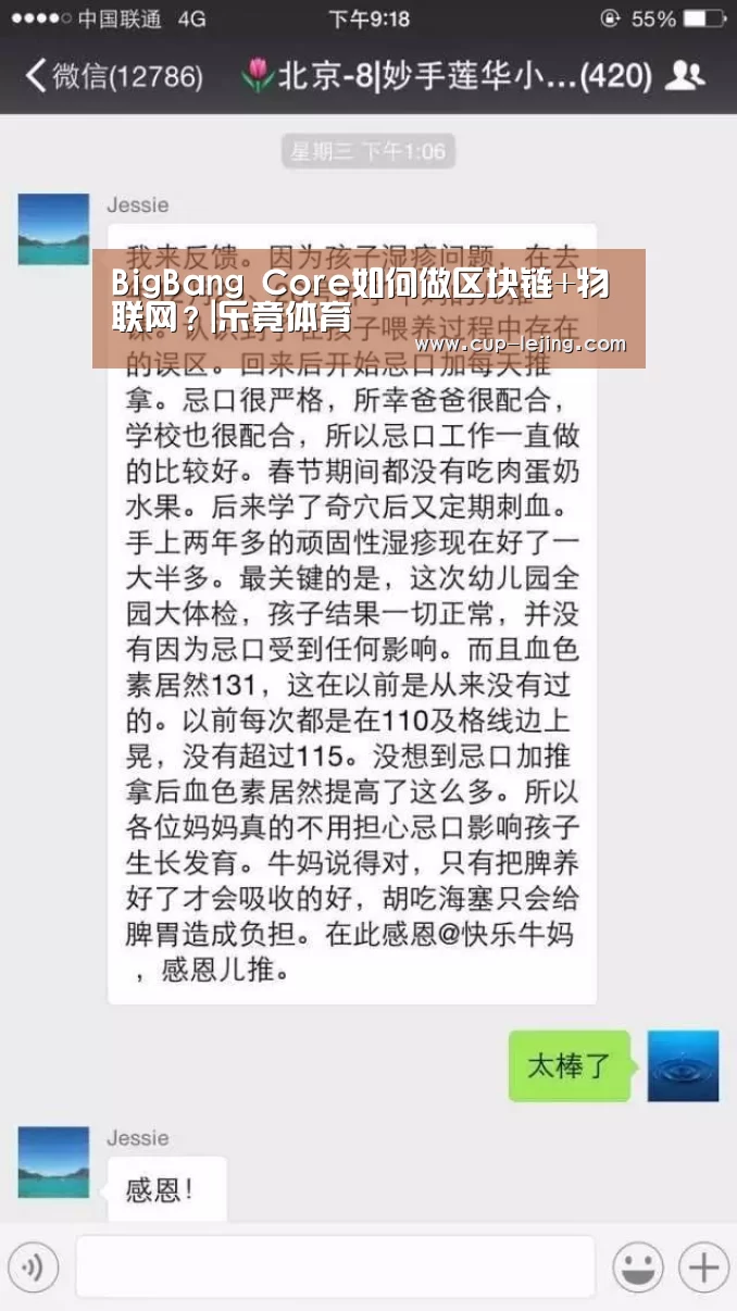 BigBang Core如何做区块链+物联网?|乐竟体育(图2) 乐竟平台