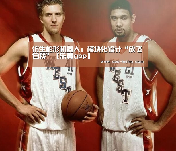 仿生蛇形机器人:模块化设计“放飞自我”【乐竟app】(图3) 乐竟平台