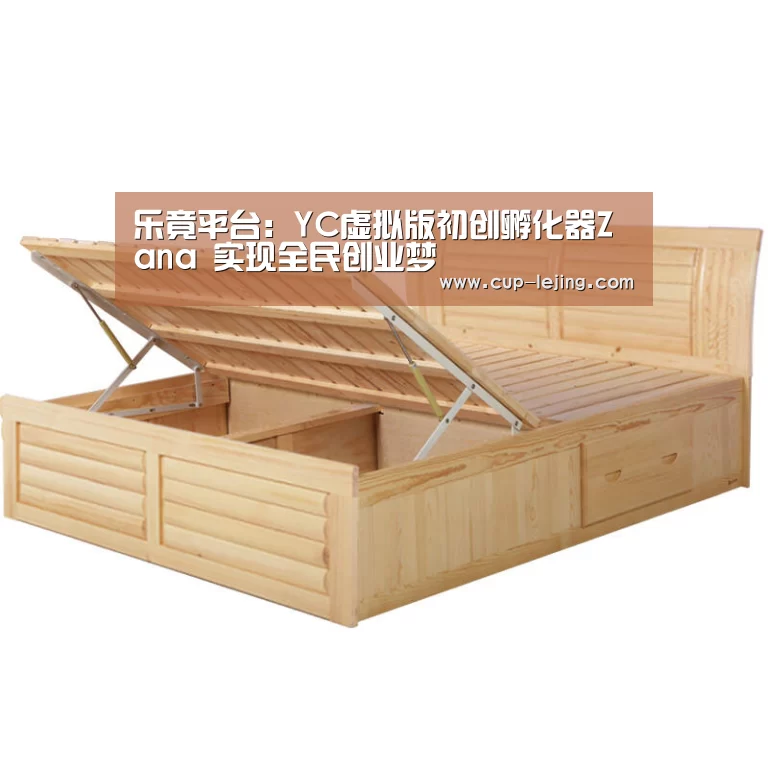 乐竟平台:YC虚拟版初创孵化器Zana 实现全民创业梦(图2) 乐竟体育平台